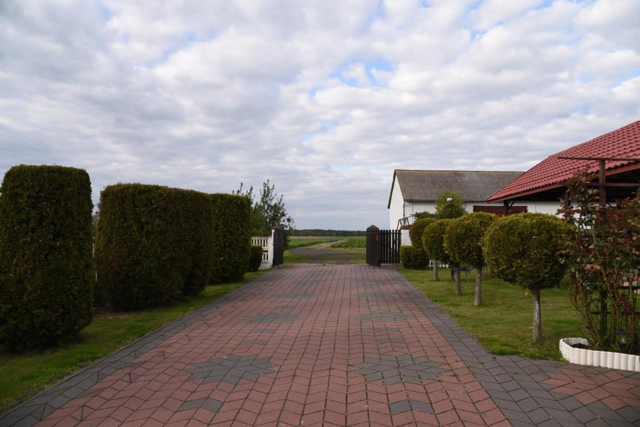 Agroturystyka Kobylnica nad Wisłą Zewnętrze zdjęcie