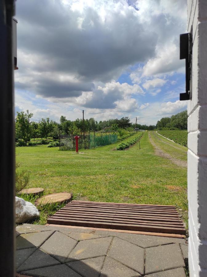Agroturystyka Kobylnica nad Wisłą Zewnętrze zdjęcie