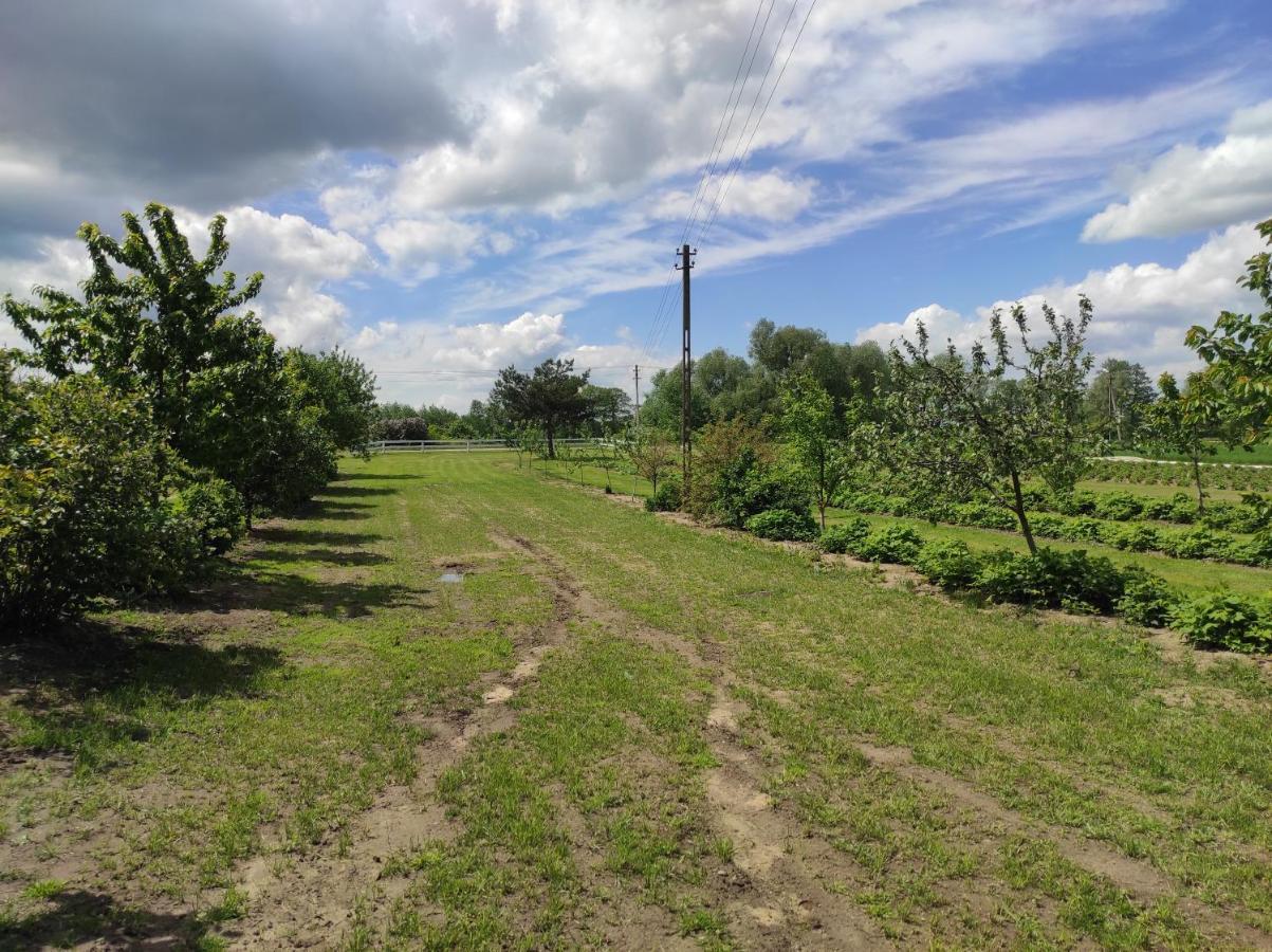 Agroturystyka Kobylnica nad Wisłą Zewnętrze zdjęcie