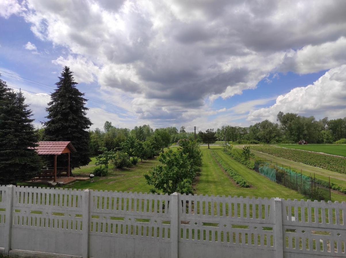 Agroturystyka Kobylnica nad Wisłą Zewnętrze zdjęcie