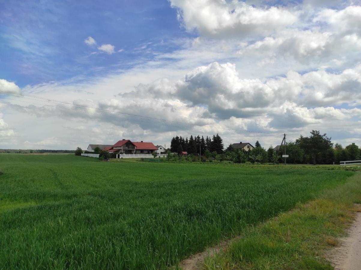 Agroturystyka Kobylnica nad Wisłą Zewnętrze zdjęcie