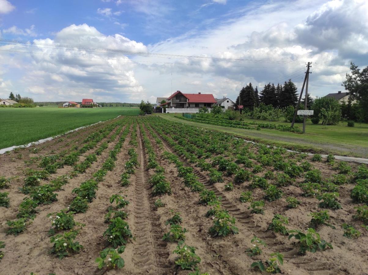 Agroturystyka Kobylnica nad Wisłą Zewnętrze zdjęcie