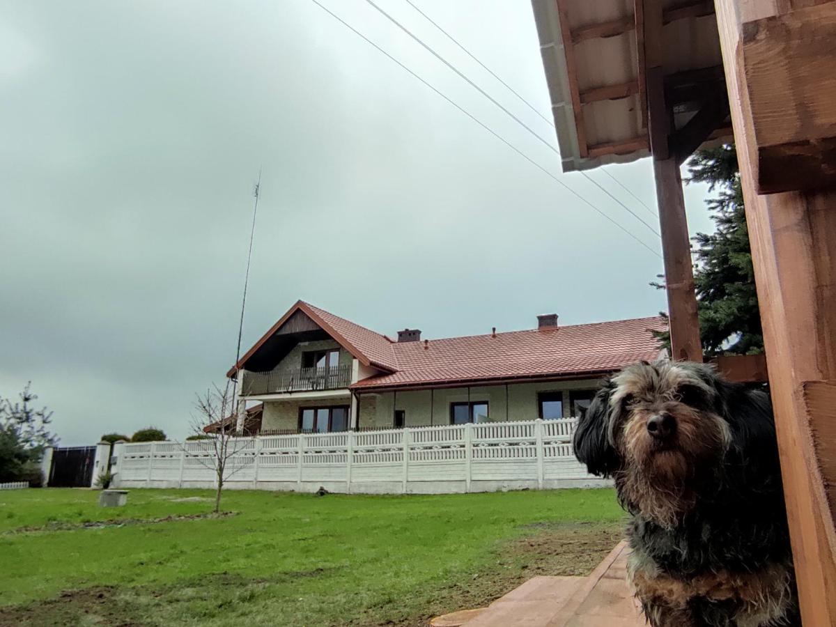 Agroturystyka Kobylnica nad Wisłą Zewnętrze zdjęcie