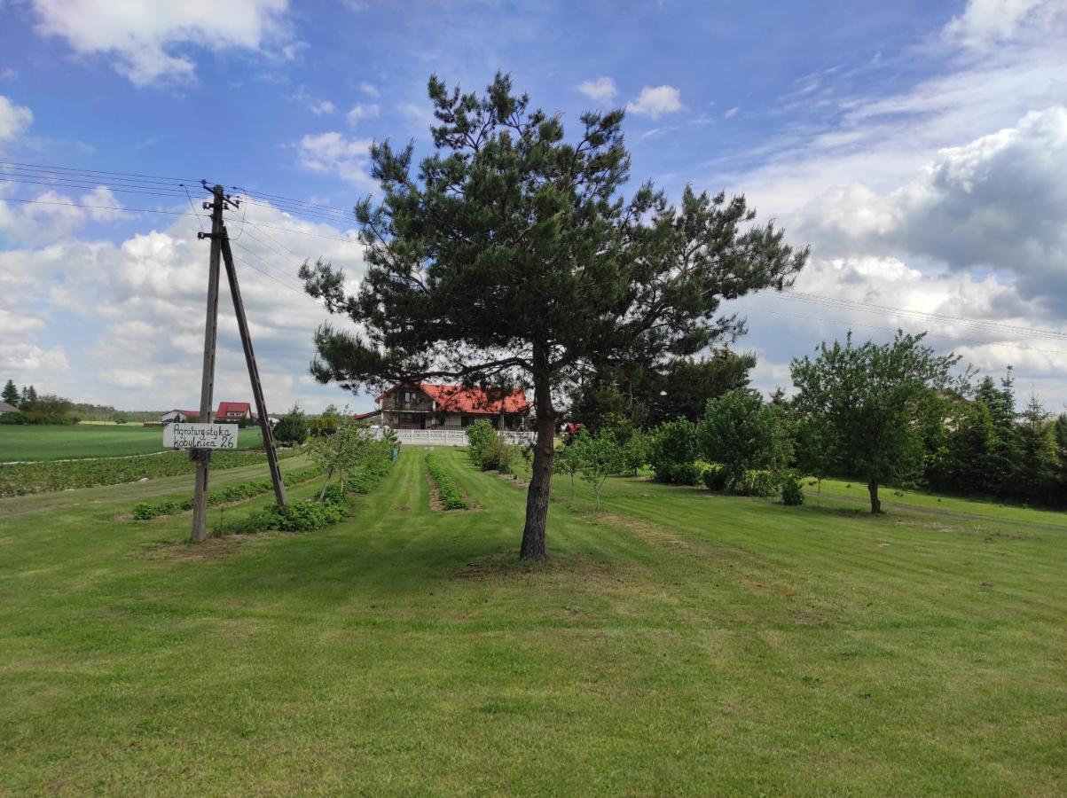 Agroturystyka Kobylnica nad Wisłą Zewnętrze zdjęcie