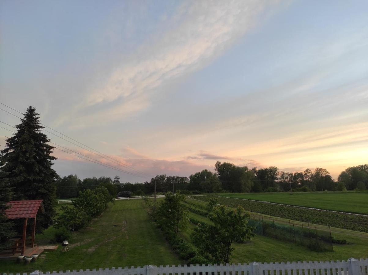 Agroturystyka Kobylnica nad Wisłą Zewnętrze zdjęcie